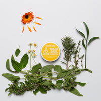 Thumbnail for Solar Goo Sunscreen | Green Goo by Sierra Sage Herbs