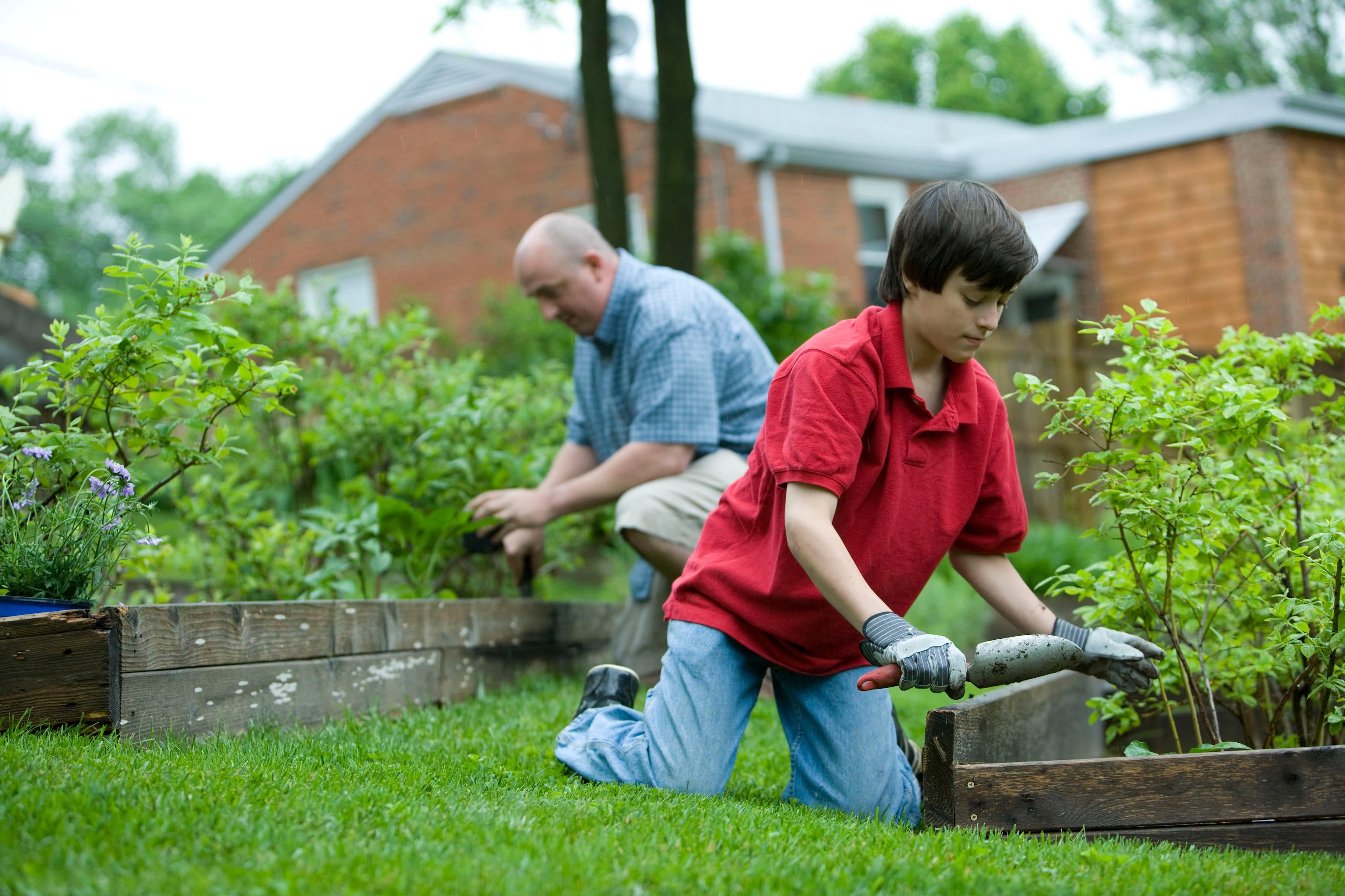 Natural Ways to Address the Allergens in Your Home Using Plants with Purpose