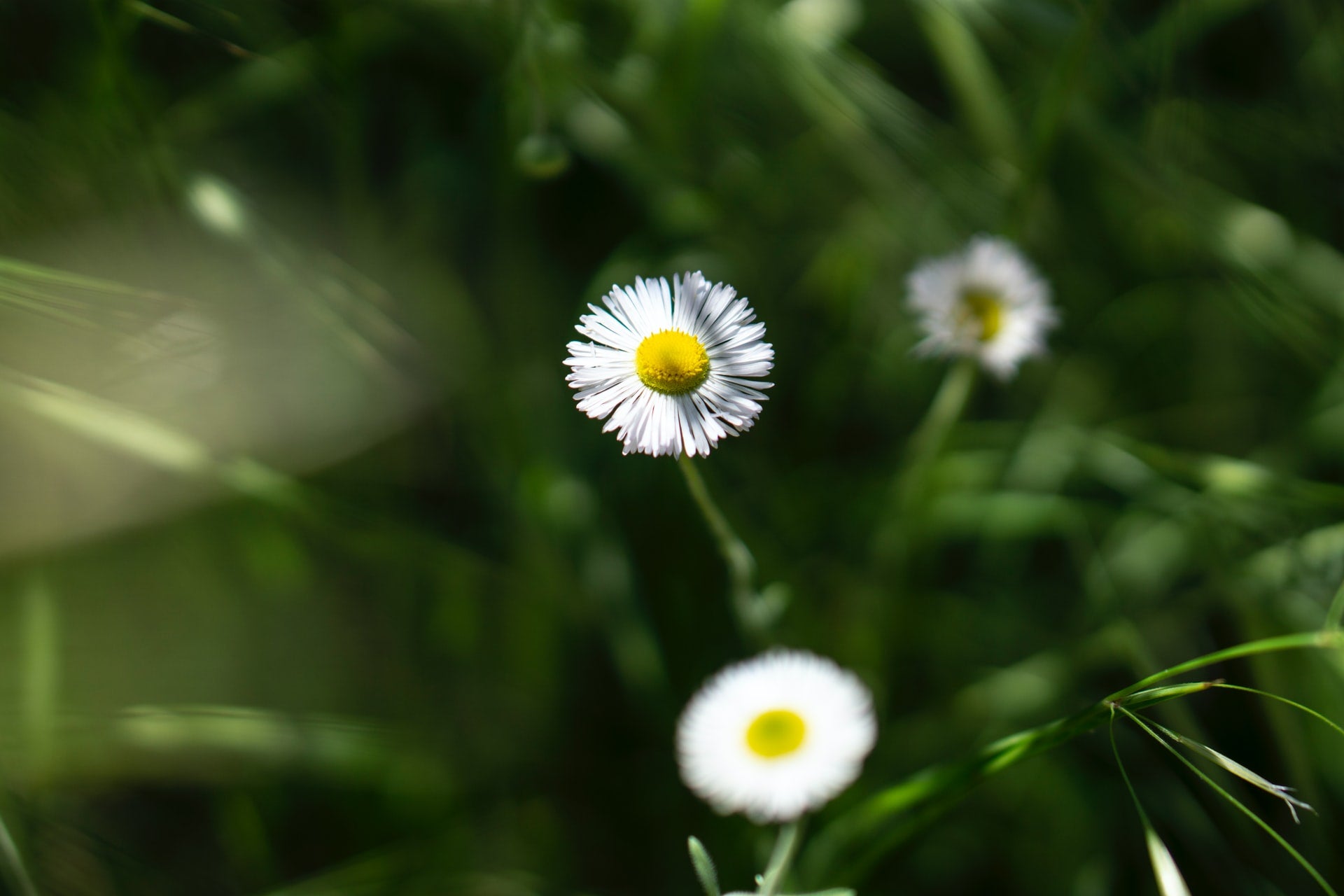 The Plant-Based Natural Baby Wash You Have to Try in 2020