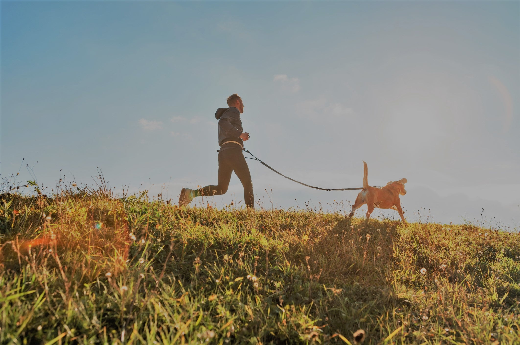 7 Ways to Keep Your Lungs Healthy Around the House