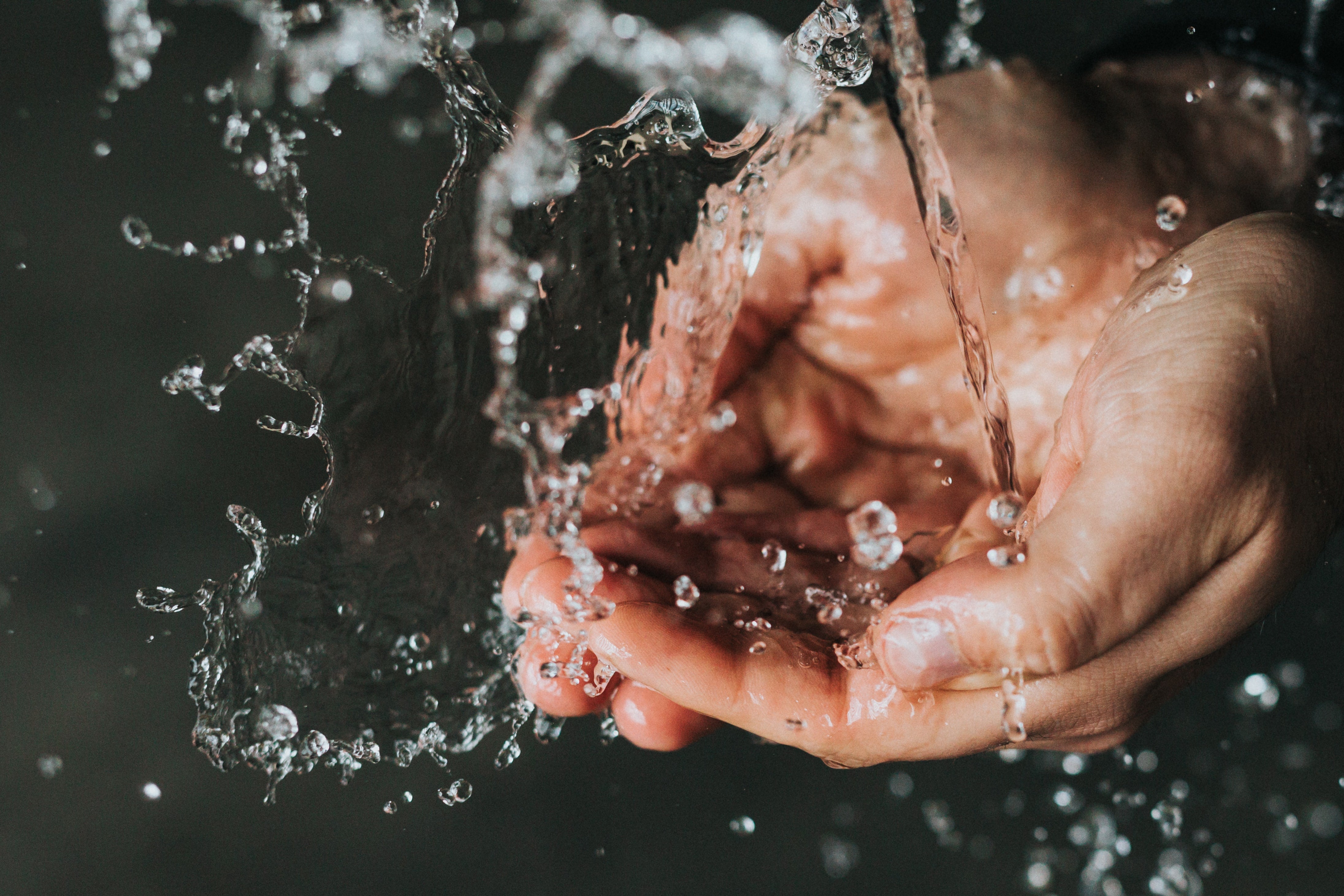 Castile Soap - Great for hand washing and so much more.