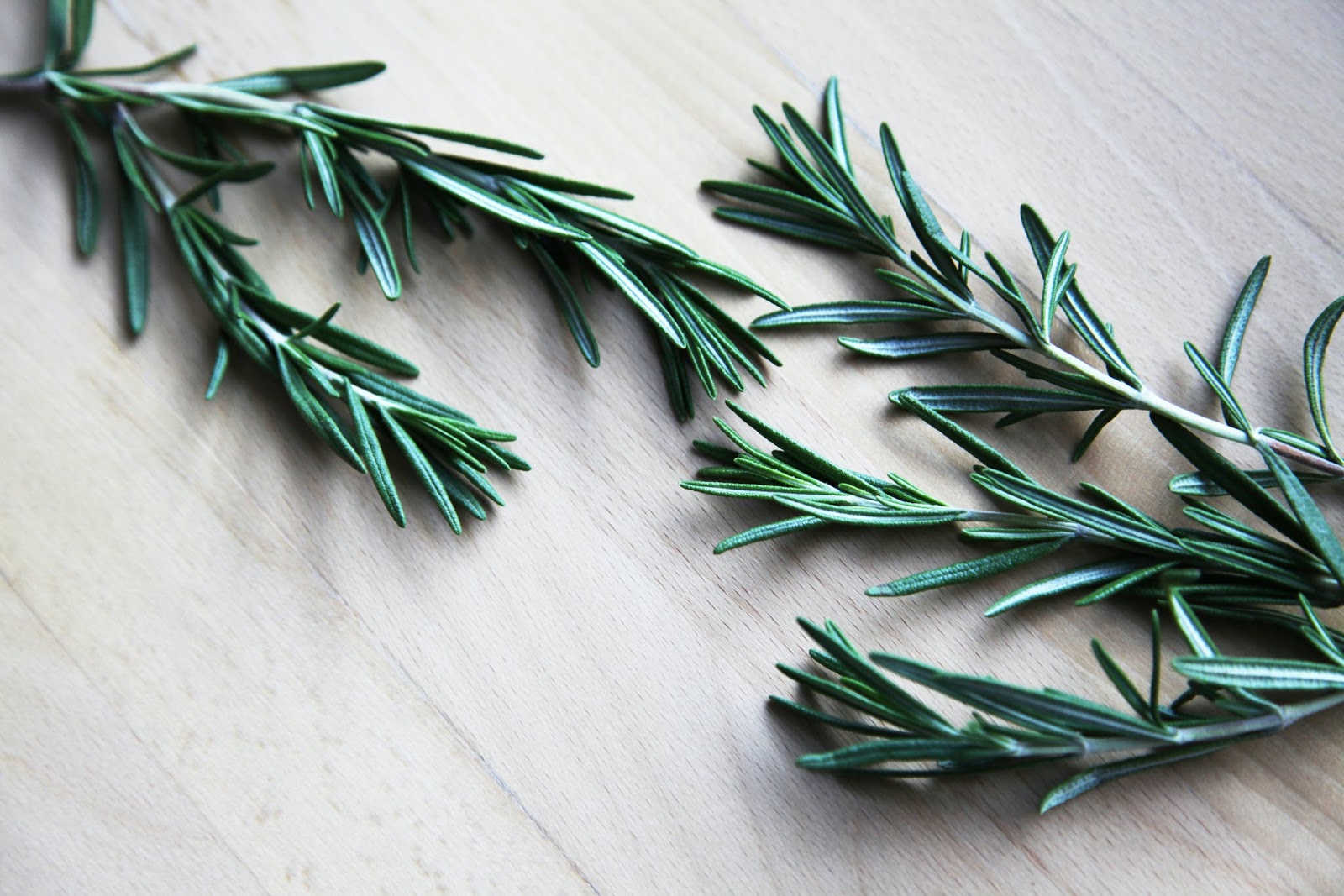 The Surprising Effects Mint and Rosemary Have in Moisturizing Shampoo