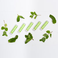 Thumbnail for Lip Balm | Green Goo by Sierra Sage Herbs